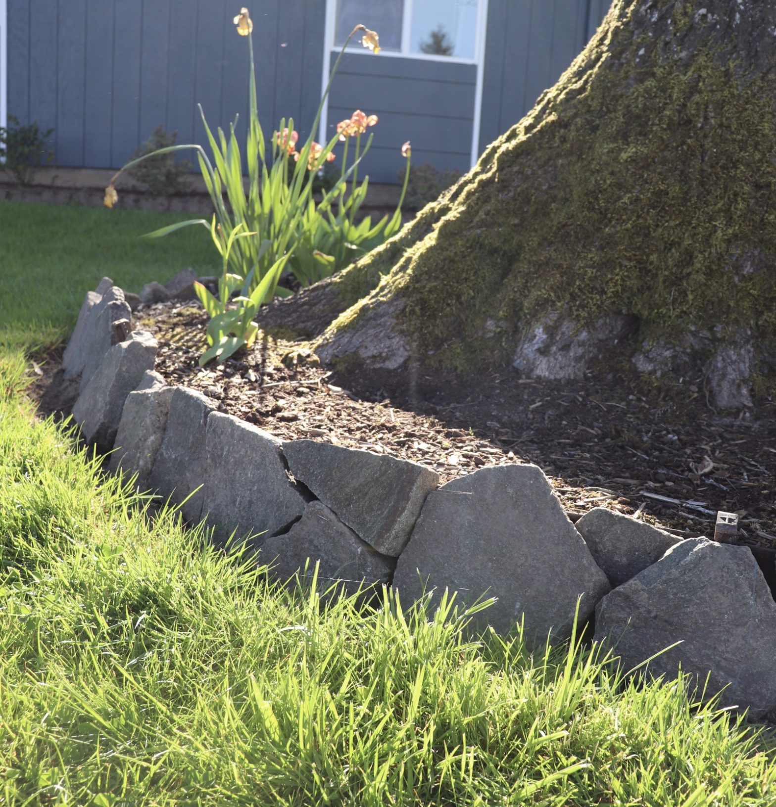 How to Make a Simple DIY Rock Garden Border A Flourishing Place