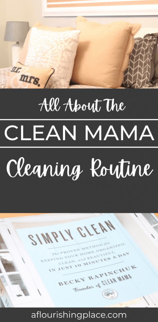 Clean Mama Review and 5 Great Home Cleaning Must-Haves - A